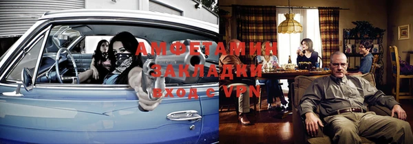 индика Каменка