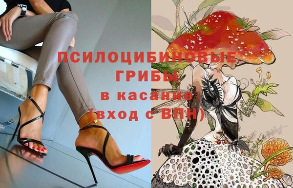 винт Арсеньев