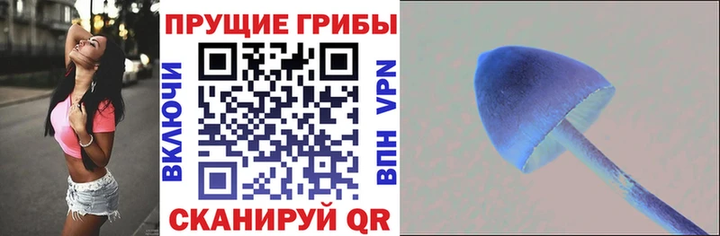 Галлюциногенные грибы Magic Shrooms  Грязовец 